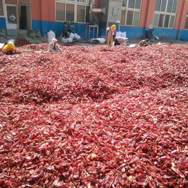 HTB1N5bTdQxz61VjSZFrq6xeLFXaj(001)